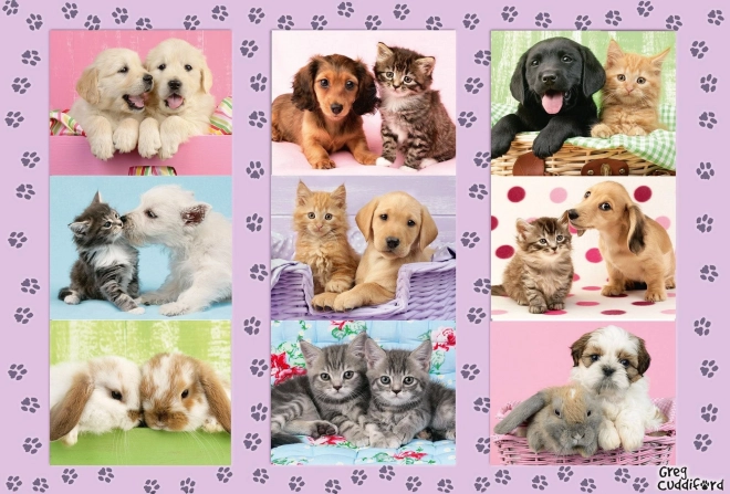 Schmidt sestavljanka Moji živalski prijatelji 100 kosov