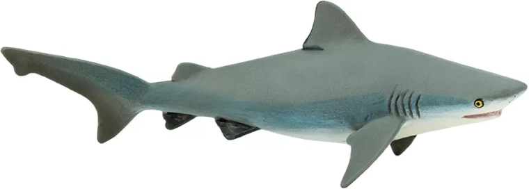 Figura belega morskega psa (bikov morski pes) Safari Ltd.
