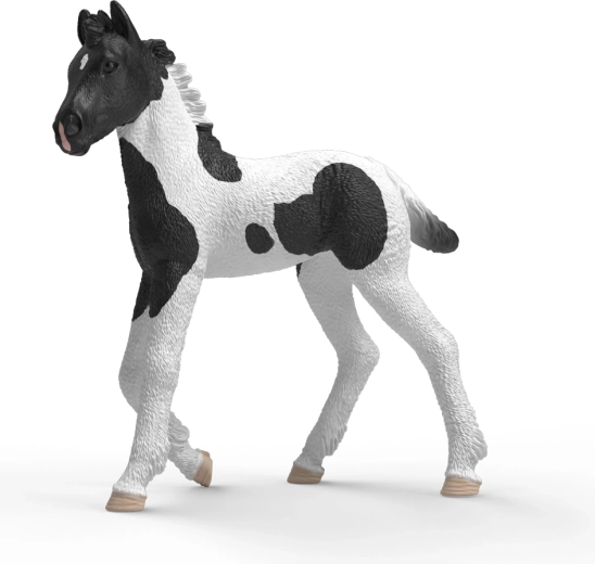 Schleich Horse Club collectible foal Rocky - 1 piece