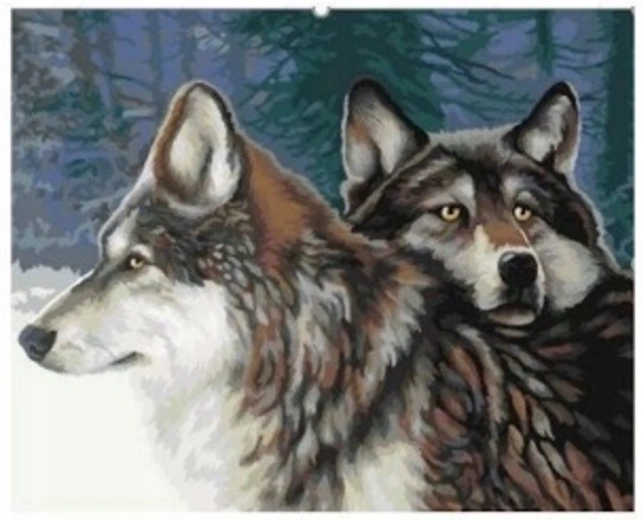 Slikanje po številkah Volčji v gozdu 40 × 50 cm