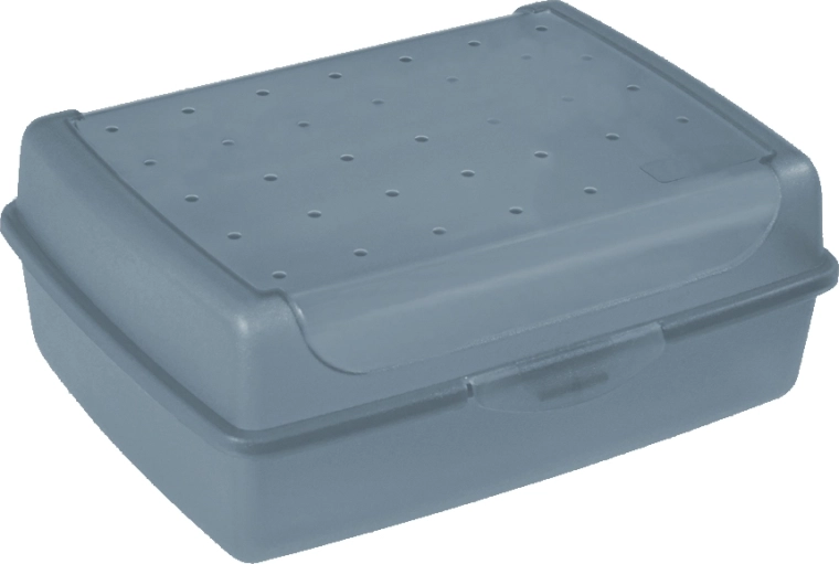 Luca Click Box MIDI plastična posoda s pokrovom 1 l, modra