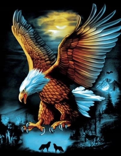 Diamantno slikanje Orel ob polni luni 30 × 40 cm