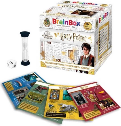 BrainBox Harry Potter game