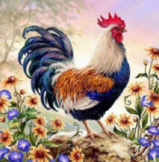 Norimpex slikanje po številkah Petelin v cvetju 40 × 50 cm