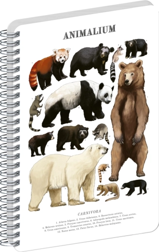 Notique spiralni blok Animalium – medvedom podobne zveri, prazen, A4
