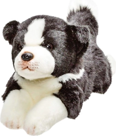 Plush Border Collie Dog 30 cm