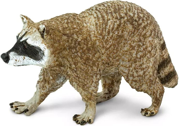 Figurica severnoameriškega rakuna Safari Ltd.