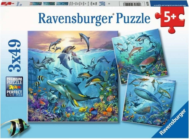 RAVENSBURGER Puzzle Živali iz oceana 3x49 kosov
