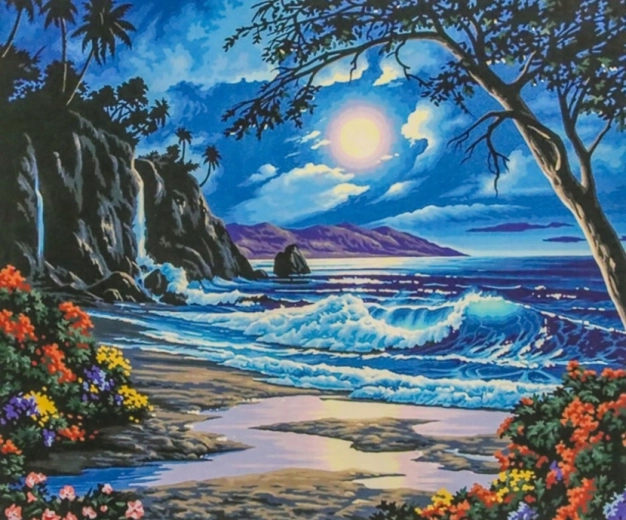 Norimpex Slikanje po številkah Raj v noči 40 × 50 cm