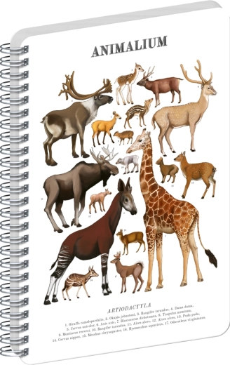Notique spiralni blok Animalium – parkljarji, čisti, A4