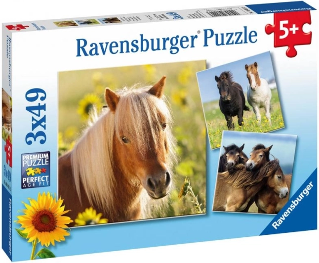 Ravensburger puzzle prikupni konji 3×49 koščkov