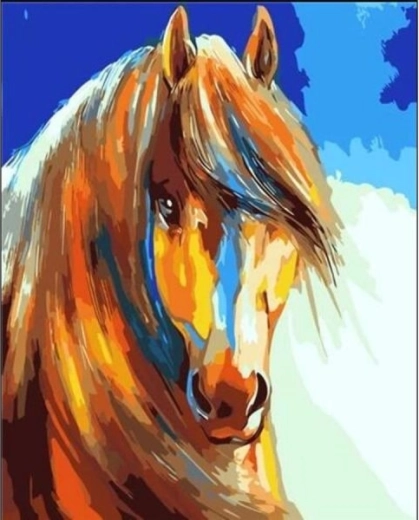 Slika za barvanje po številkah na okvirju 40 × 50 cm – barvit konj