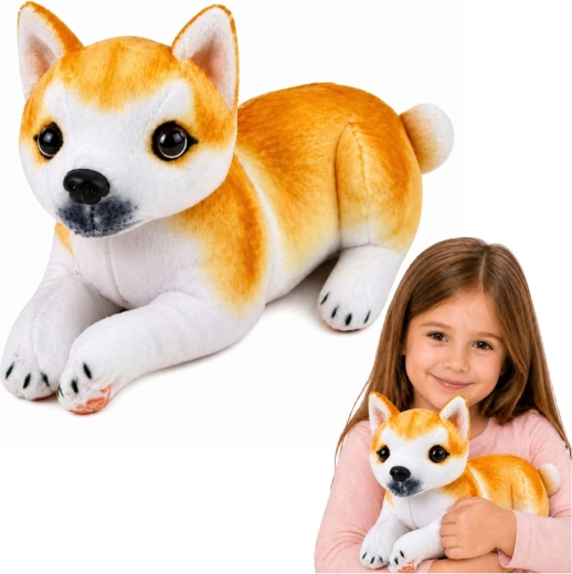 Plišasti kuža Shiba Inu 25 cm