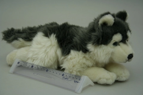 Plišasti husky 35 cm