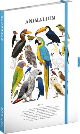 Notique Notes Animalium – črtani zvezek Ptice 13 × 21 cm