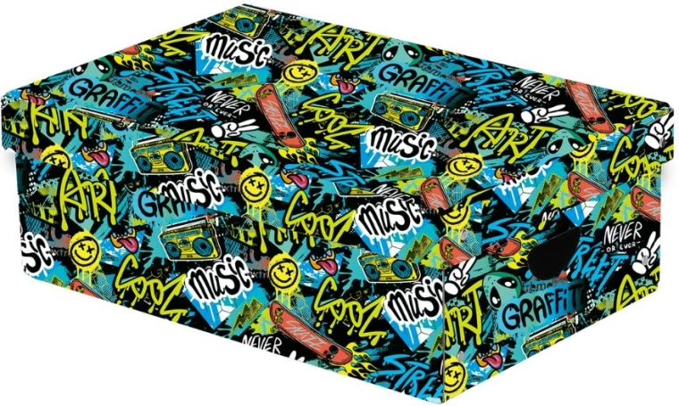 Velika laminirana shranjevalna škatla Funny Boy s pokrovom