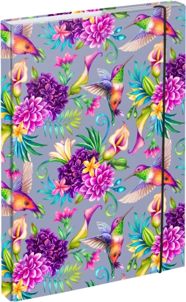 Mape za šolske zvezke A4 Kolibri BAAGL