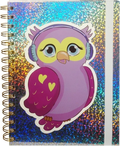 Holografski dnevnik s sovo na elastiko
