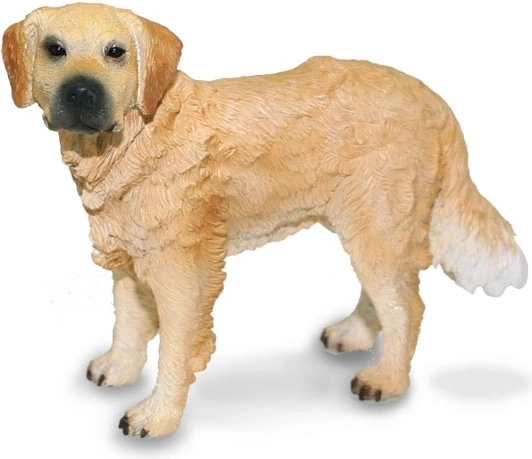 Zlati prinašalec Collecta