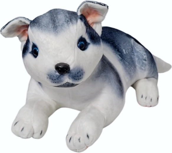 Plišasti pes husky