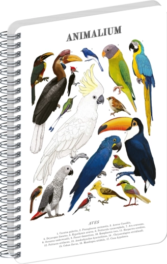 Notique spiralni blok Animalium – ptice, brez črt, A4