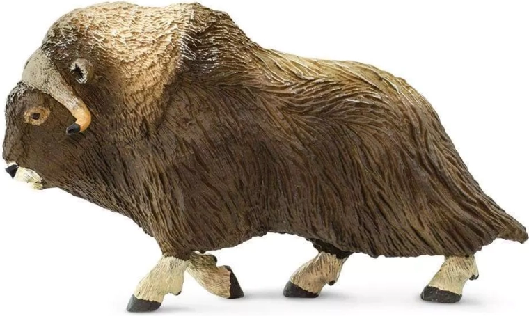 Safari Ltd. figura severnega moškatnega goveda