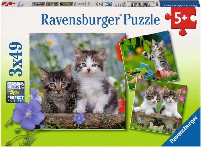 Ravensburger sestavljanka mucke 3×49 koščkov