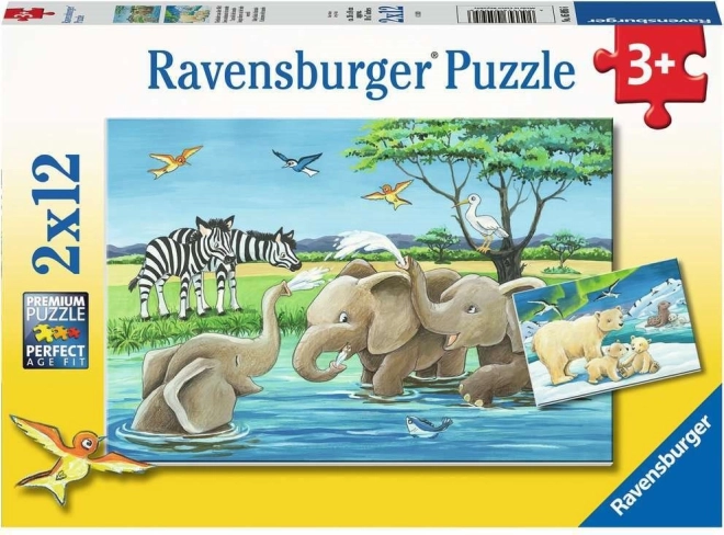 Ravensburger puzzle Živalski mladiči 2×12 kosov