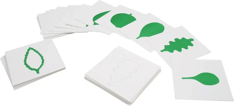 Cards – leaf shapes