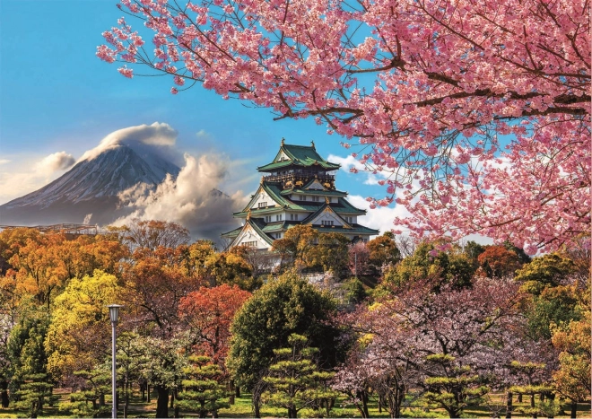 Educa sestavljanka Grad v Ósaki, Japonska 2000 kosov