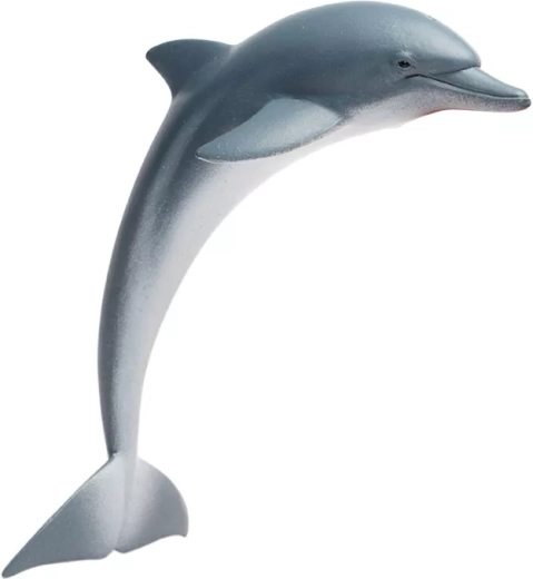 Dolphin Safari Ltd. - 1 piece
