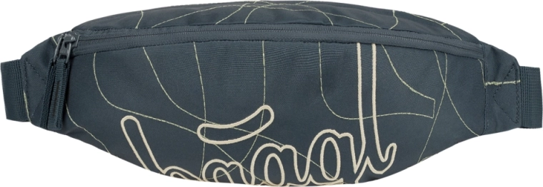 Ledvena torbica BAAGL Snap Wave GRS