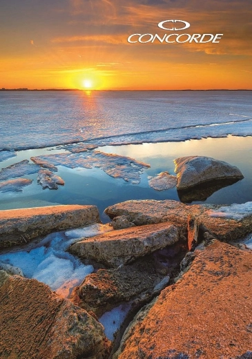 Zapisovalna knjiga A4 brez črt, 100 listov