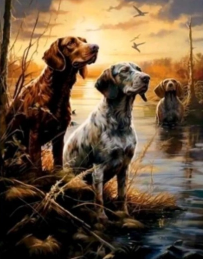 Diamantno slikanje Mokrišča 30 × 40 cm