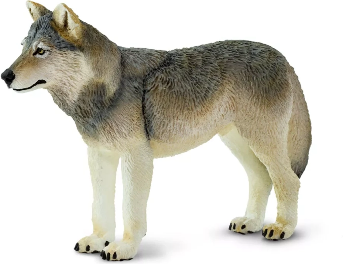 Safari Ltd. figurica sivi volk – 1 kos