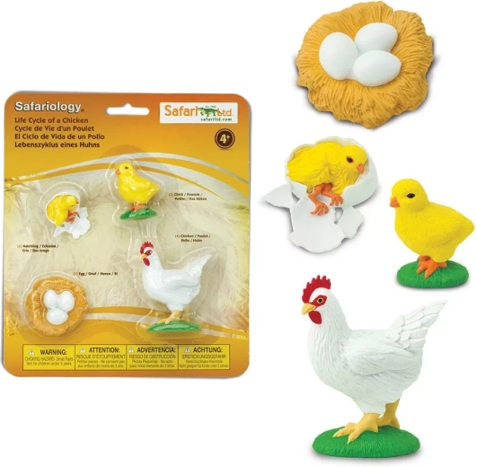 Safari Ltd. življenjski cikel – piščanec