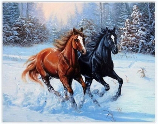 Norimpex diamond painting Running horses in the snow 30 × 40 cm