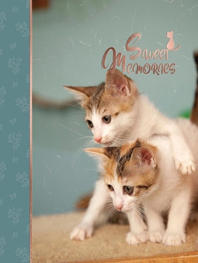 Fotoalbum CONCORDE DXP 4696 za 96 fotografij 10 × 15 cm