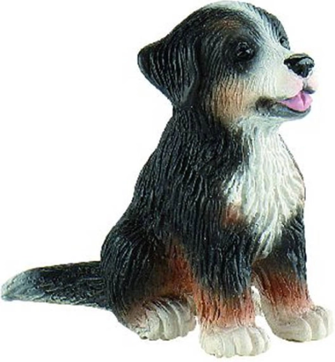 Bernski planšarski pes - mladiček Joy