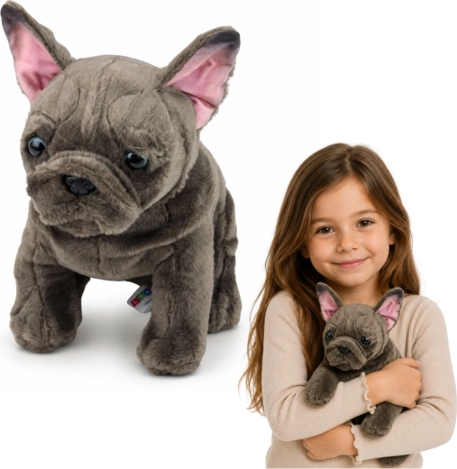 Plush French Bulldog 22 cm