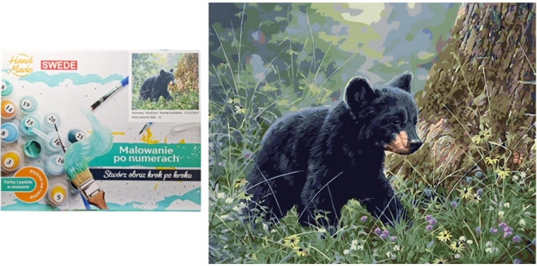 Slikanje po številkah – rjavi medved