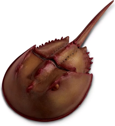 Safari Ltd. figurica moluškega ostrorepa