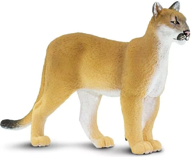 Figurica floridske pume Safari Ltd. - 1 kos