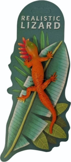 Animals – color-changing lizard