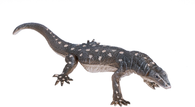 Realistična figura Komodo zmaj
