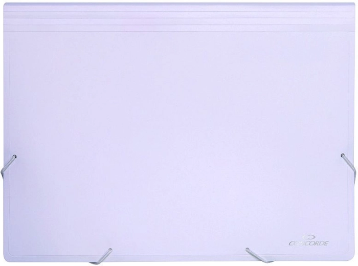 Mapa za dokumente z elastiko A4, 13 predalčkov, bela