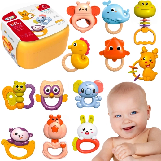 Set of 12 rattles in a carry case