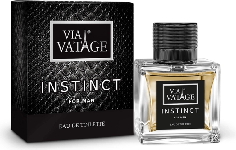 Moška toaletna voda BI-ES Via Vatage Instinct 100 ml