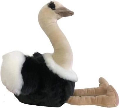 Plush ostrich 36 cm with hanger