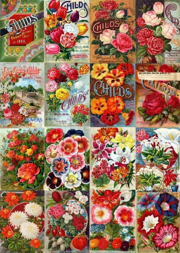 Enjoy puzzle vintage katalog cvetličnih semen 1000 kosov